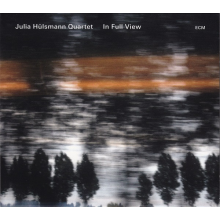Julia Hulsmann Quartet - In Full View