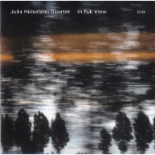 Julia Hulsmann Quartet - In Full View