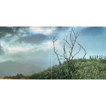 King Gizzard & The Lizard Wizard - Ice, Death, Planets, Lungs, Mushrooms And Lava