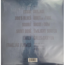 Lage, Julian - Squint (lp)
