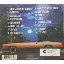 Macklemore - Gemini