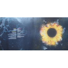 Marillion - Afraid Of Sunlight