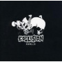 Collision - Roadkiller