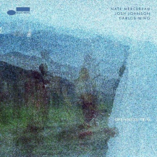 Mercereau, Nate/ Josh Johnson/ Carlos Nino - Openness Trio