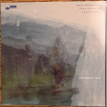 Mercereau, Nate/ Josh Johnson/ Carlos Nino - Openness Trio