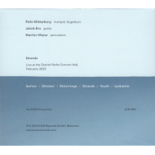 Mikkelbord/bro/mazur - Strands - Live At The Danish Radio Concert Hall