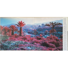 Montparnasse Musique - Archeology (lp)