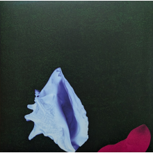 New Order - Touched By The Hand Of God