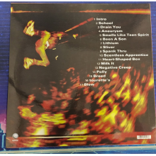 Nirvana - From The Muddy Banks Of The Wishkah 2lp