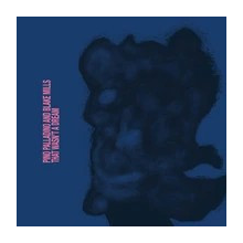 Palladino, Pino / Mills, Blake - That Wasn't A Dream