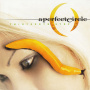 Perfect Circle, A - Thirteenth Step