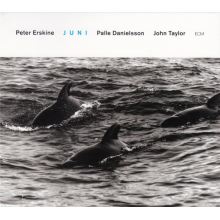 Peter Erskine Trio - Touchstones: Juni
