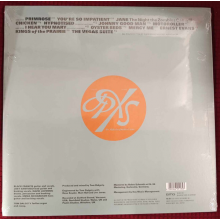 Pixies - The Night The Zombies Came (lp)