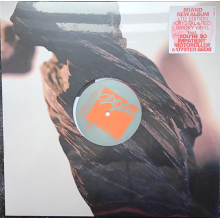 Pixies - The Night The Zombies Came (lp) (indie)