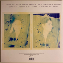 Pj Harvey - Is This Desire? - Demos Lp