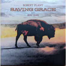 Plant, Robert - Saving Grace