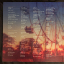 Plant, Robert & Krauss, Alison - Raise The Roof