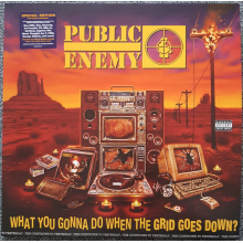 Public Enemy - What You Gonna Do When The Grid Goes Down (lp)
