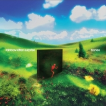 Rainbow Kitten Surprise - Bones