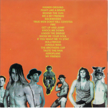Red Hot Chili Peppers - What Hits?
