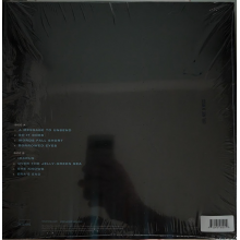 Redman, Joshua - Words Fall Short (lp)