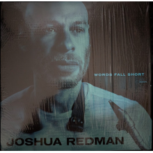 Redman, Joshua - Words Fall Short (lp)