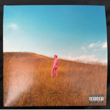 Regrettes, The - Further Joy