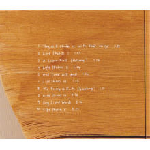 Richter, Max - In A Landscape