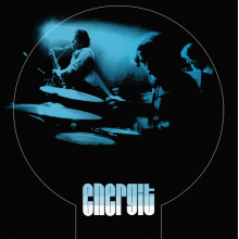 Roy, Bob Orchestra - Disco Flash