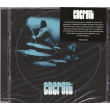 Roy, Bob Orchestra - Disco Flash