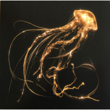 Royal Blood - Back To The Water Below