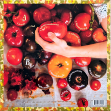 Sanah - Kaprysy (lp)