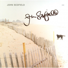 Scofield, John - Solo (lp)