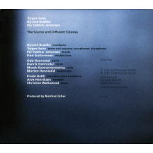 Seim, Trygve - The Source And Different Cikadas