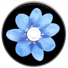 Sigrid - Sucker Punch (pl)