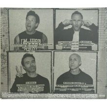 Simple Plan - The Kids On The Crowd (music From Documentary Soundtrack)