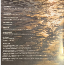 Skald - Vikings Memories