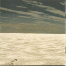 Skillet - Dominion: Day Of Destiny