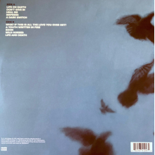 Snow Patrol - Wildness Lp