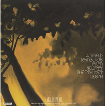 Alex Delivery - Star Destroyer