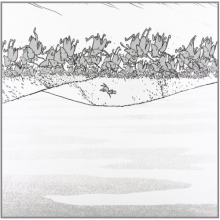 Shellac - Excellent Italian Grey..