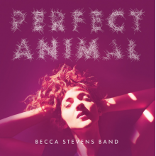 Stevens, Becca - Perfect Animal