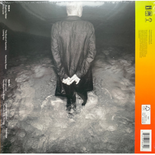 Sting - The Bridge Lp