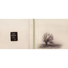 Stone Temple Pilots - Perdida