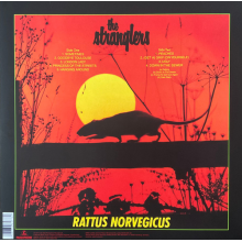 Stranglers, The - Rattus Norvegicus