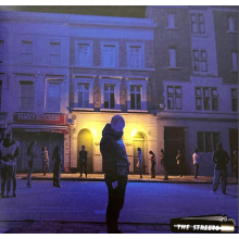Streets, The - The Darker The Shadow The Brighter The Light (standard 15 Track)