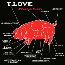 T.love - T.lovestory (15cd+dvd)