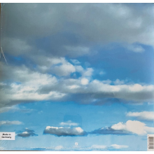 Thirty Seconds To Mars - It's The End Of The World But It's A Beautiful Day (lp Orange Alt Cover + Litho Print) (indie)