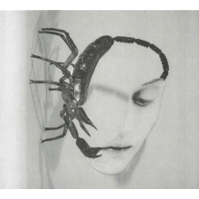 Tortoise - Touch