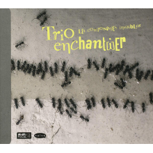 Trio En Chantier - Les Composantes Invisibles
